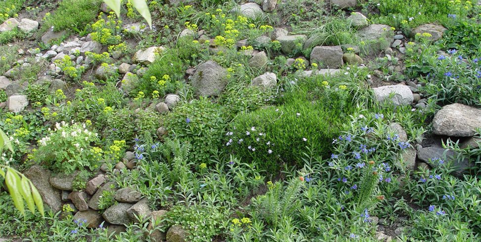 Maureen Gilmer
Morongo Valley, CA