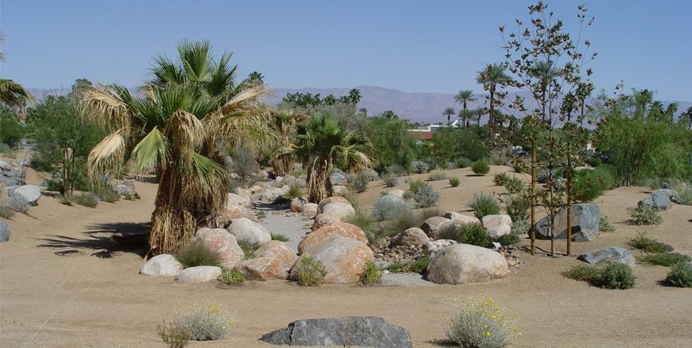 Maureen Gilmer
Morongo Valley, CA