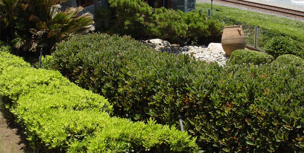 Maureen Gilmer
Morongo Valley, CA