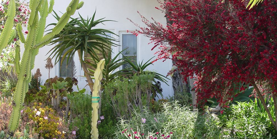 Maureen Gilmer
Morongo Valley, CA