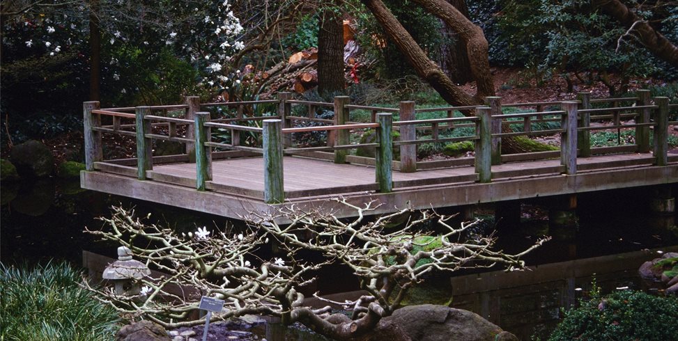 Maureen Gilmer
Morongo Valley, CA