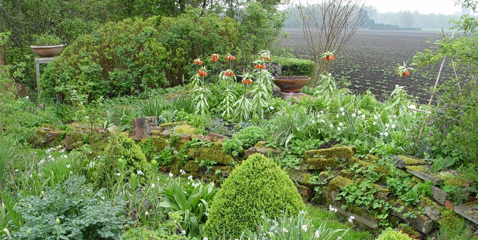 Maureen Gilmer
Morongo Valley, CA