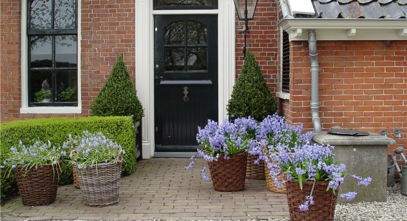 Maureen Gilmer
Morongo Valley, CA
