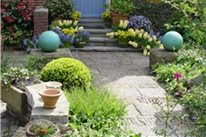 Maureen Gilmer
Morongo Valley, CA