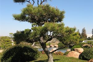 Front Yard Landscaping
miheco
