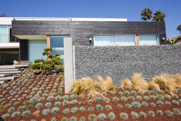 Modern Planting Grid
Garden Design
Grounded Landscape Architecture and Planning
Encinitas, CA
