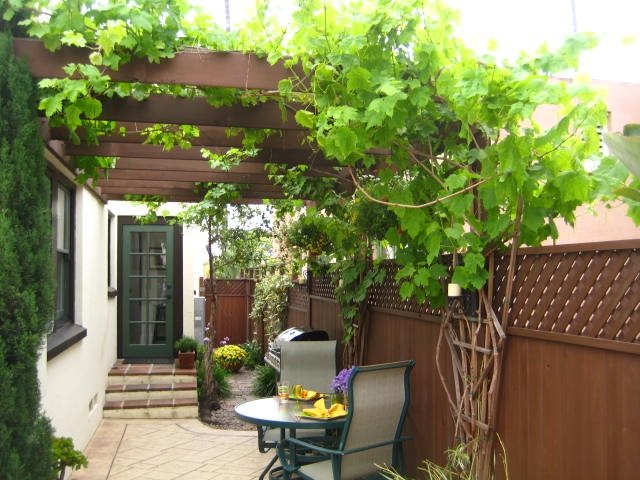 Narrow Patio With Trellis
Patio
Landscaping Network
Calimesa, CA