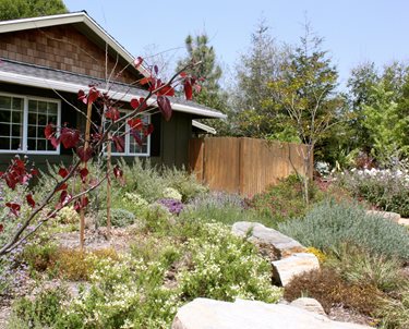 Natural, Garden, Rock
Swimming Pool
Landscaping Network
Calimesa, CA