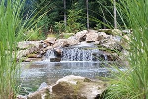 Natural Pond Design, Waterfall Design
Pond and Waterfall
Woody's Custom Landscaping Inc
Battle Ground, WA