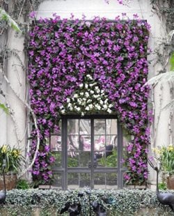 Newsletter Picture
Landscaping Network
Calimesa, CA