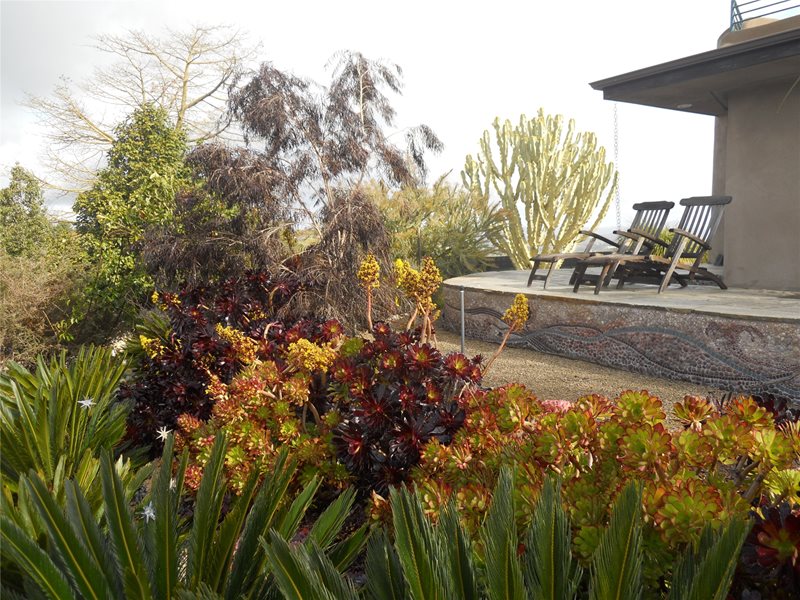 Patio Overlooking Landscaping
Patio
Landscaping Network
Calimesa, CA