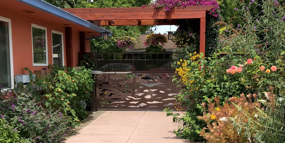 Pergola and driveway