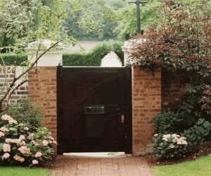 Outdoor Kitchen
Patrick Cline

