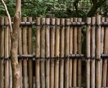 Pergola and Patio Cover
Patty Myrick
