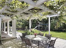 Pergola Vines
Pergola and Patio Cover
Landscaping Network
Calimesa, CA