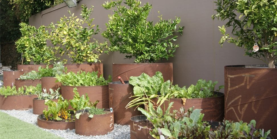 Pipe Planters
Z Freedman Landscape Design
Venice, CA