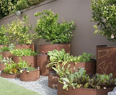 Steel pipe planters