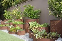 Pipe Planters
Garden Design
Z Freedman Landscape Design
Venice, CA