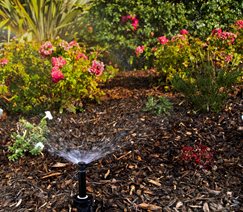 Plant Sprinkler, Shrub Sprinkler
Landscaping Network
Calimesa, CA
