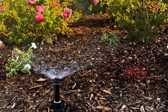 Plant Sprinkler, Shrub Sprinkler
Landscaping Network
Calimesa, CA