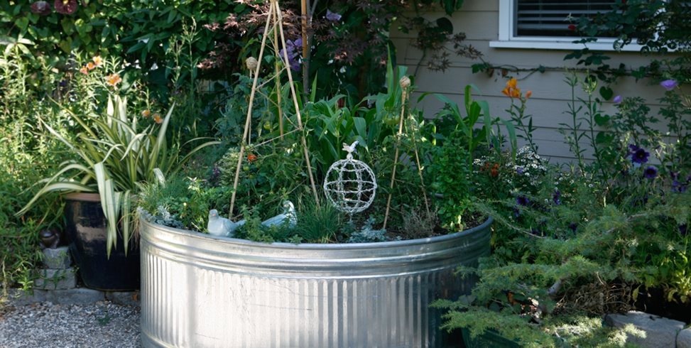 Planter
Grace Design Associates
Santa Barbara, CA