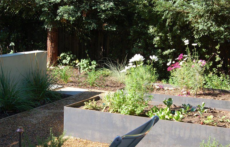 Planters
Garden Design
Huettl Landscape Architecture
Walnut Creek, CA