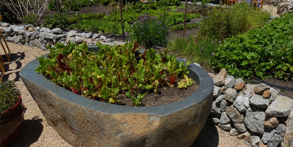 Planters, Planting Design
Landscaping Network
Calimesa, CA