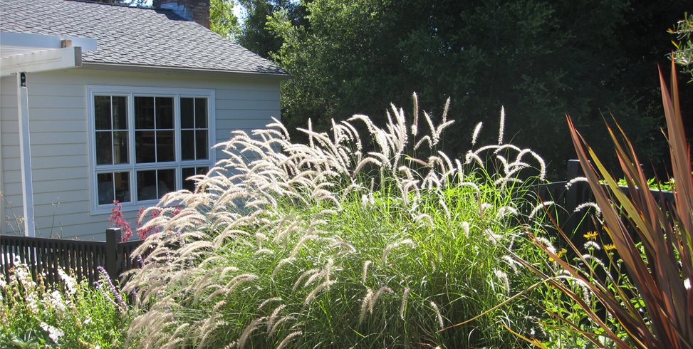 Planting Beds
Dig Your Garden Landscape Design
San Anselmo, CA