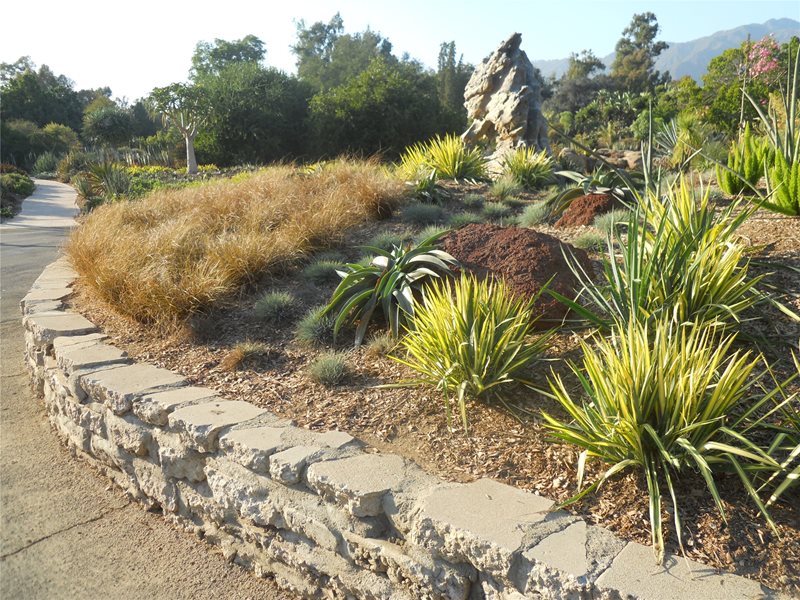Planting Design
Garden Design
Landscaping Network
Calimesa, CA