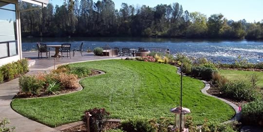 Planting Design
Landscaping Network
Calimesa, CA