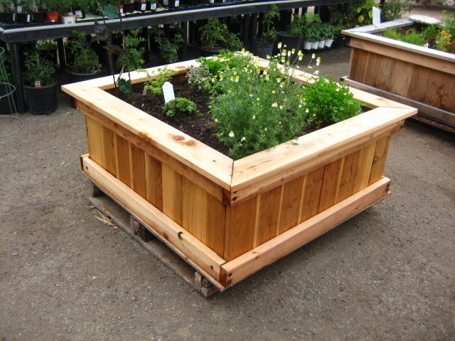 Planting Design
Garden Design
Landscaping Network
Calimesa, CA