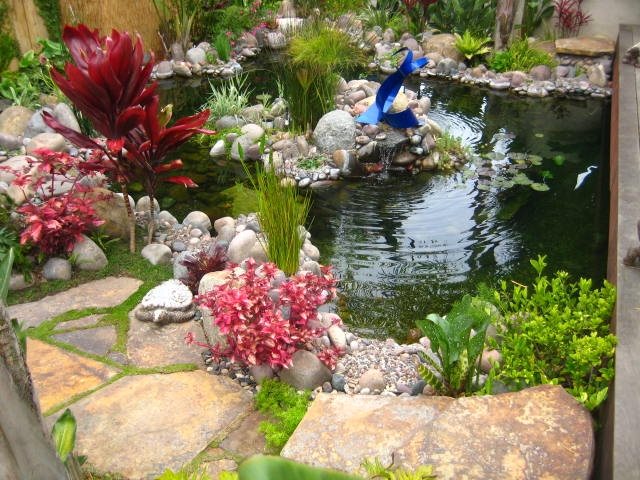 Plants, Pond
Pond and Waterfall
Landscaping Network
Calimesa, CA