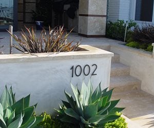 Plaster Retaining Wall
Swimming Pool
Maureen Gilmer
Morongo Valley, CA
