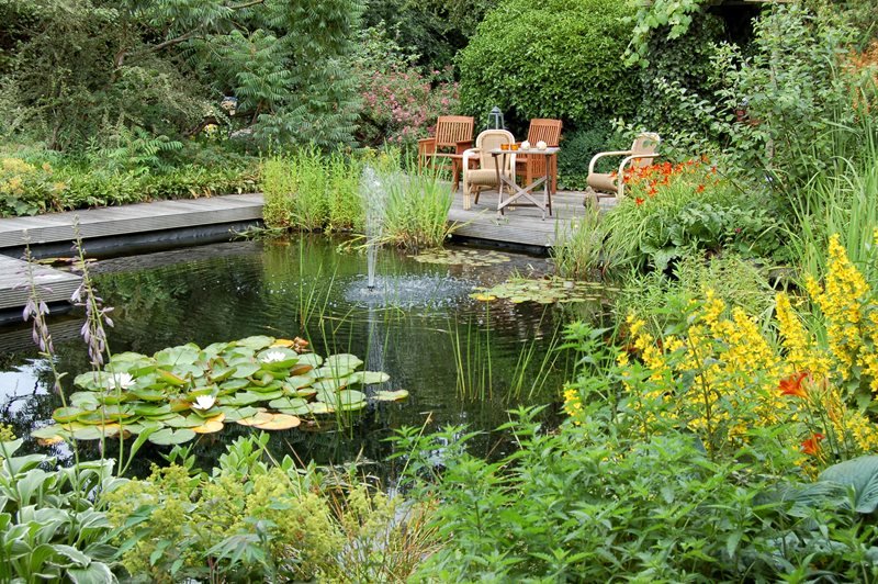 Pond Fountain, Pond Plants, Pond Deck
Pond and Waterfall
Landscaping Network
Calimesa, CA