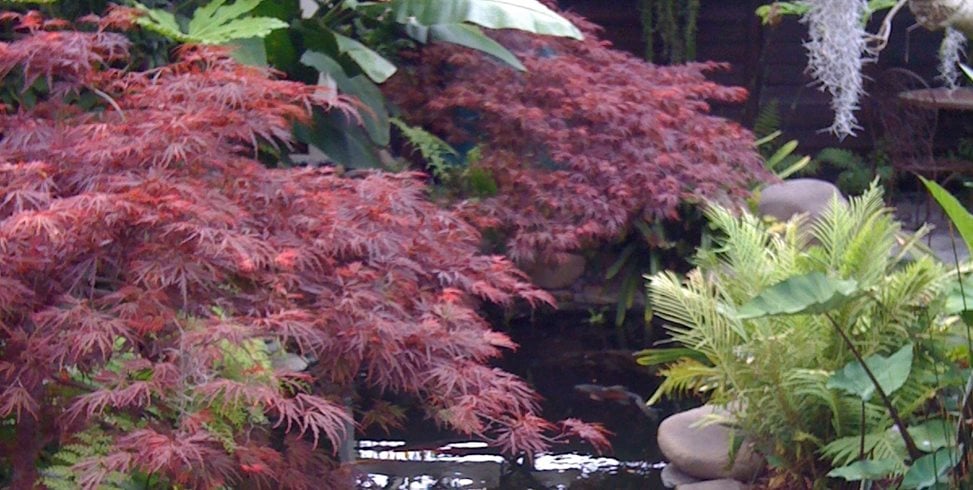 Pond
Asian Landscaping
Landscaping Network
Calimesa, CA