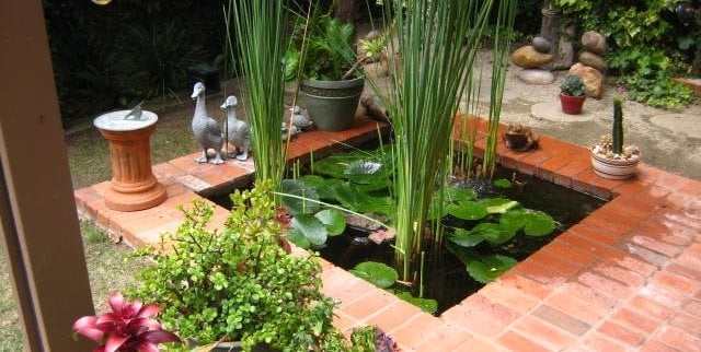 Pond
Swimming Pool
Landscaping Network
Calimesa, CA