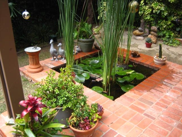 Pond
Pond and Waterfall
Landscaping Network
Calimesa, CA