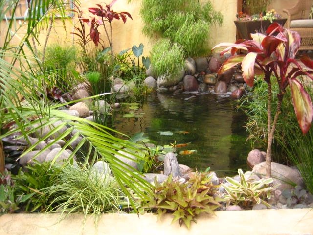 Pond
Pond and Waterfall
Landscaping Network
Calimesa, CA