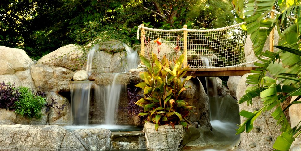 Pool Deck
Swimming Pool
The Green Scene
Chatsworth, CA