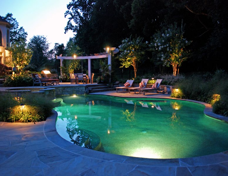 Pool Night Lighting
Lighting
Botanical Decorators
Olney, MD