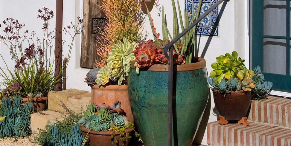 Pot Grouping
Grace Design Associates
Santa Barbara, CA