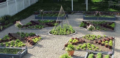 Potager, Kitchen Garden