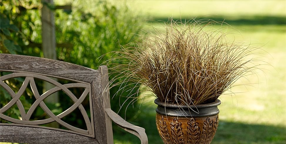 defining edges and adding mulch