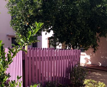 Purple Fence
Landscaping Network
Calimesa, CA