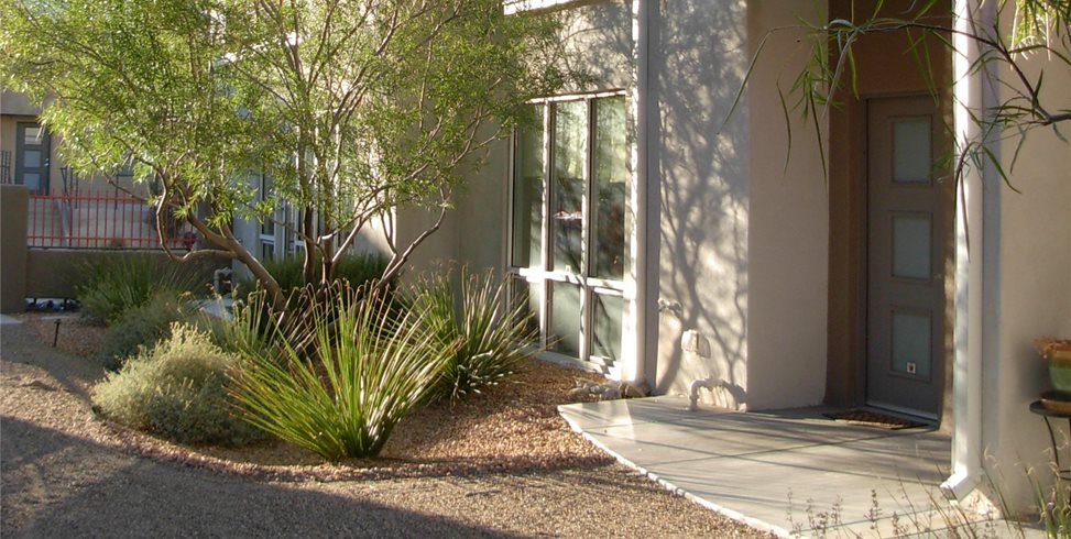 Quercus
Albuquerque, NM