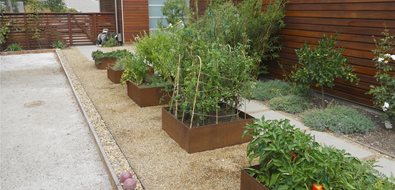 Raised Beds