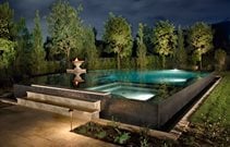 Custom Concrete Pool Cost
