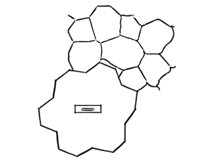 Random Stone, Concrete Pattern
Landscaping Network
Calimesa, CA