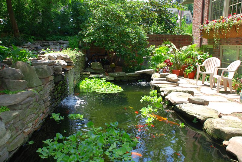 Rectangular Koi Pond
Pond and Waterfall
Landscaping Network
Calimesa, CA
