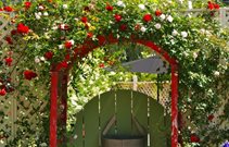 Red Garden Arbor
Landscaping Network
Calimesa, CA